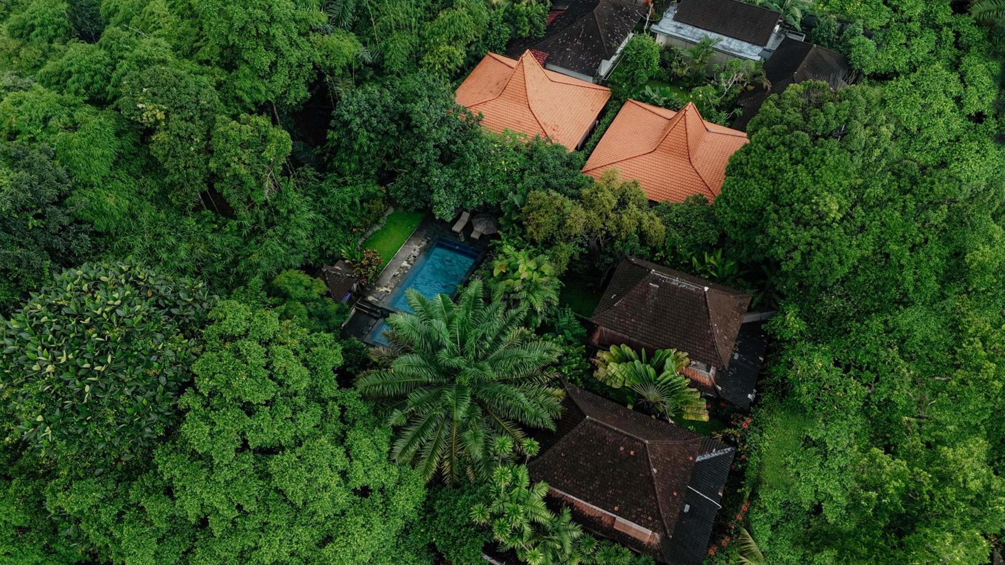 Sari Bamboo Villas Убуд Екстериор снимка
